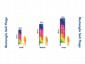 Sail Flags Sizes